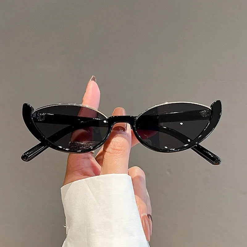 Lunette_chat_noir